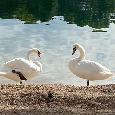 Apartman Put Svete Kate Raslina Zewnętrze zdjęcie